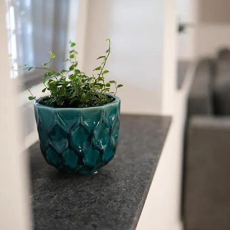 Apartma Ana *